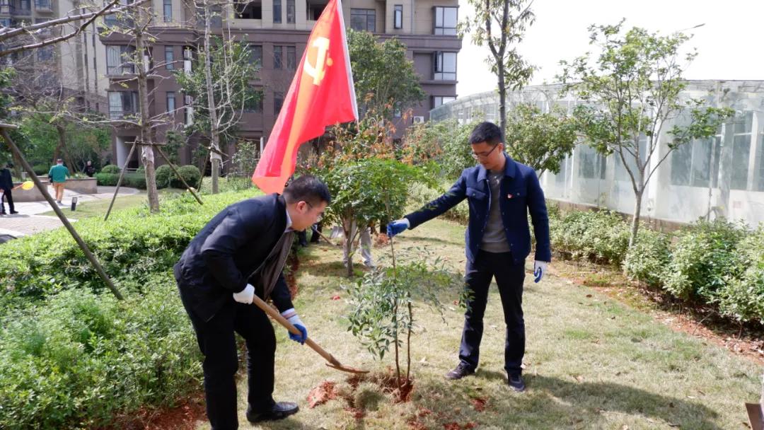 贛房集團黨總支開展“黨旗紅，春意濃” 義務植樹主題黨日活動